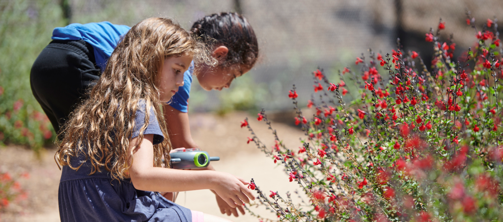 Two children are in the Outdoor Nature Lab examining flowers.