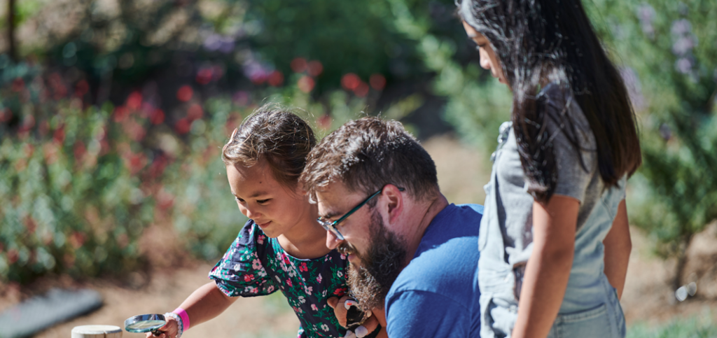 An adult and children examine nature in the Outdoor Nature Lab.