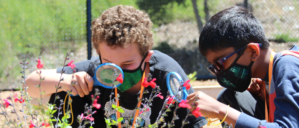 Two students are examining nature in the Outdoor Nature Lab
