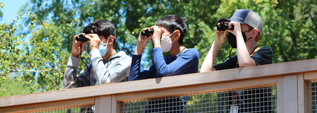 Three students are using binoculars to look at nature in the Outdoor Nature Lab