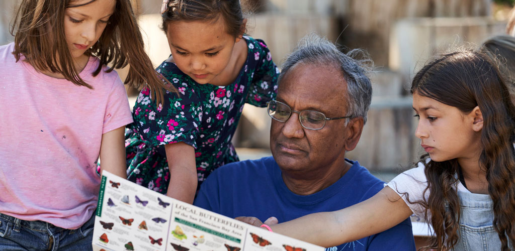 Children looking at "Local Butterflies" poster.